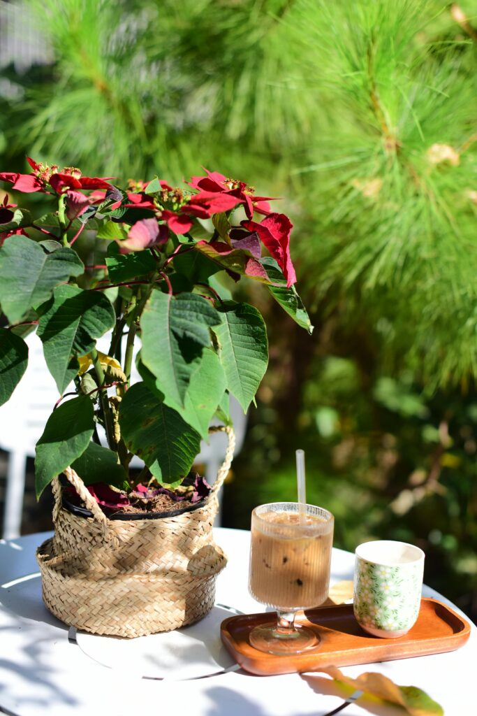 Como o ambiente afeta o corpo